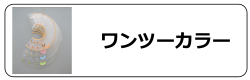 ワンツーカラー